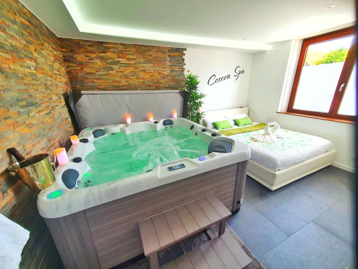 -Gite Cocoon Spa-Jacuzzi-Jardin-Parking Prive-Climatisation Holtzwihr エクステリア 写真